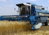 В Волгоградской области собран рекордный урожай