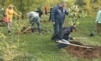 Волжский при поддержке Волгоградского ботанического сада готовится к юбилею