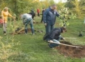 Волжский при поддержке Волгоградского ботанического сада готовится к юбилею
