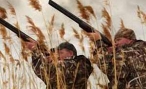 В Волгограде и регионе сезон охоты откроется 16 августа