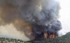 В Волгоградской области аномальная жара стала причиной ландшафтных пожаров