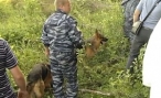 В Волгоградской области найден пропавший мальчик