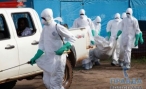 Количество жертв вируса Эбола дошло до 2097