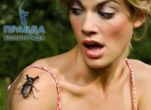 Боязнь насекомых: фобия или болезнь