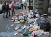 Утомленные мусором волгоградцы требуют объявить в городе режим ЧС