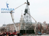 В Волгограде новогоднюю елку установят 15-го числа В Волгограде новогоднюю елку установят 15-го числа