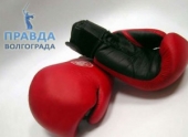 Перчатки боксерские — Спорт Континент
