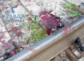 В Волгограде под поезд попал мужчина
