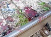 В Волгограде под поезд попал мужчина В Волгограде под поезд попал мужчина