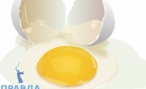 Для чего нужен сухой яичный белок?