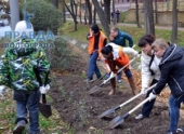 В Камышинской администрации Волгограда прошел брифинг по озеленению В Камышинской администрации Волгограда прошел брифинг по озеленению