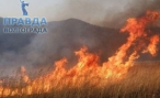 В Волгоградской области горят трава и камыш