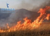 В Волгоградской области горят трава и камыш