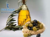 Волгоградские красавицы применяют оливковое масло для красоты волос