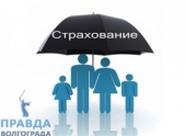 ОСАГО и КАСКО в Волгограде: основные параметры и тенденции развития ОСАГО и КАСКО в Волгограде: основные параметры и тенденции развития