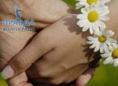 В Волгограде приглашают на День семьи, любви и верности