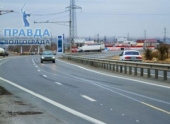 В Волгограде 30-летние ели помешали расширению дороги на аэропорт