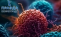 Крошечные пузырьки могут раскрыть секреты иммунных клеток и улучшить лечение