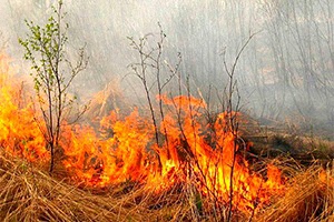 В Волгоградской области опять объявлен особый противопожарный режим