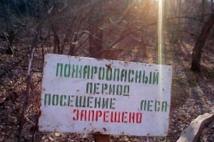 В Волгоградской области посещение лесов остается под запретом