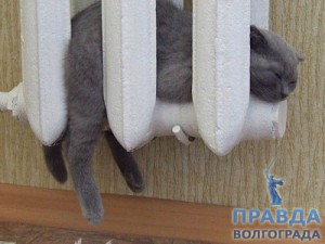 тепло в доме
