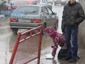 выгуливание на поводке