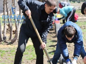 городской суботник