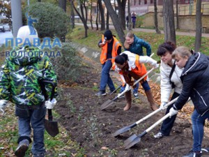 брифинг по озеленению