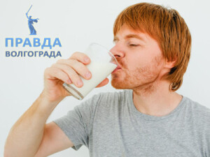 престательная железа молоко